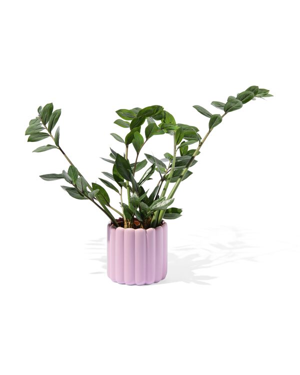 pot de fleurs M céramique nervurée lilas - 13324057 - HEMA