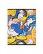 3 cahiers Donald Duck A5 - lignés - 14900542 - HEMA