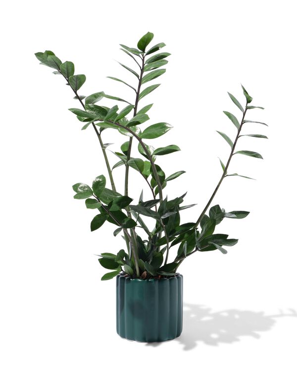 pot de fleurs nervuré vert foncé  - 13324101 - HEMA