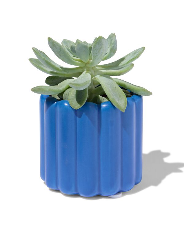 pot de fleurs Ø 6,5 x 7 cm céramique nervuré bleu - 13324102 - HEMA